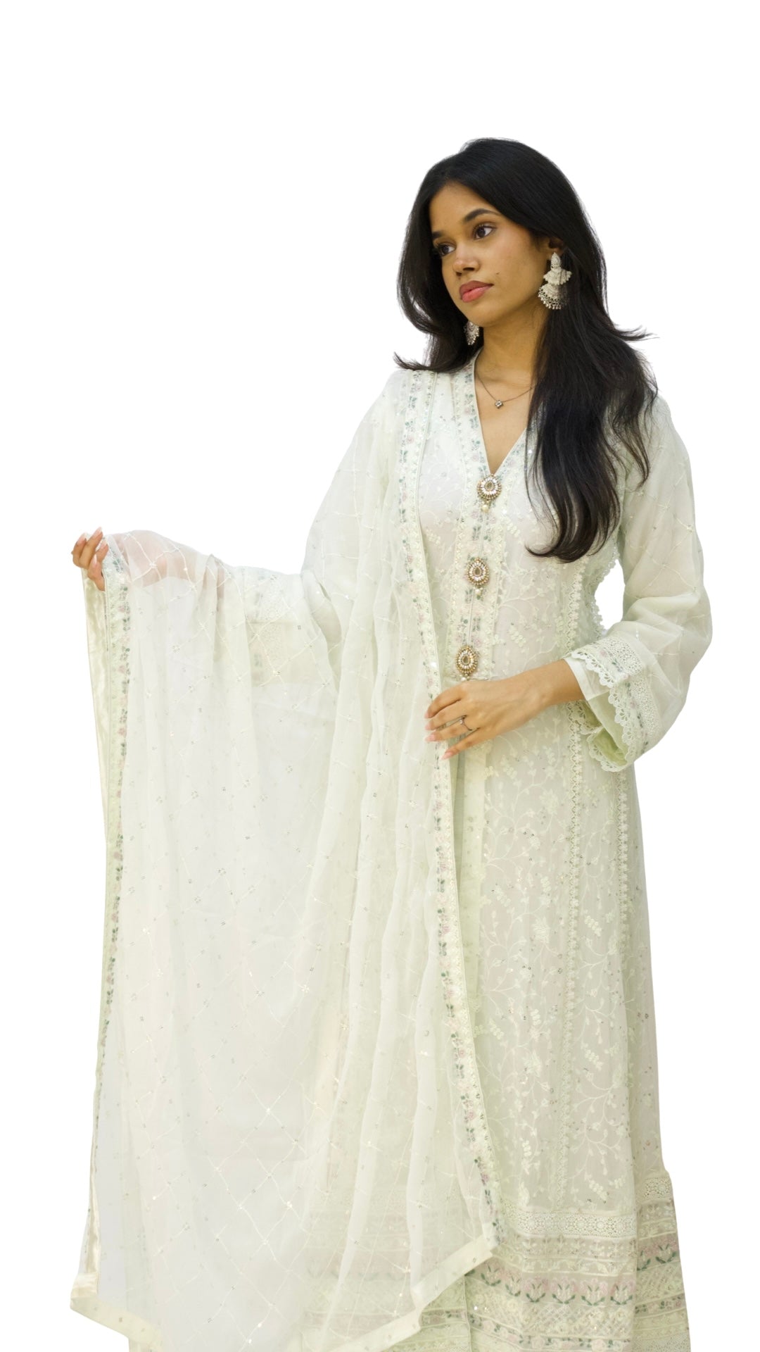 Agha Noor Gown