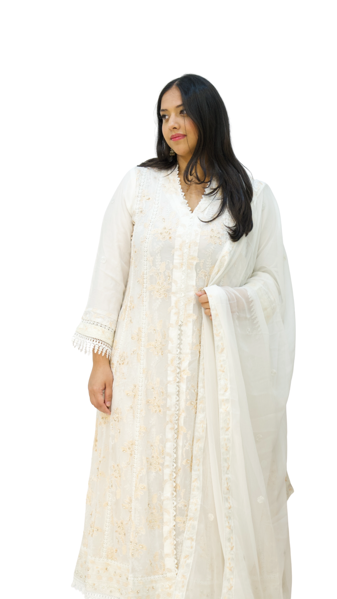 Agha Noor Gown