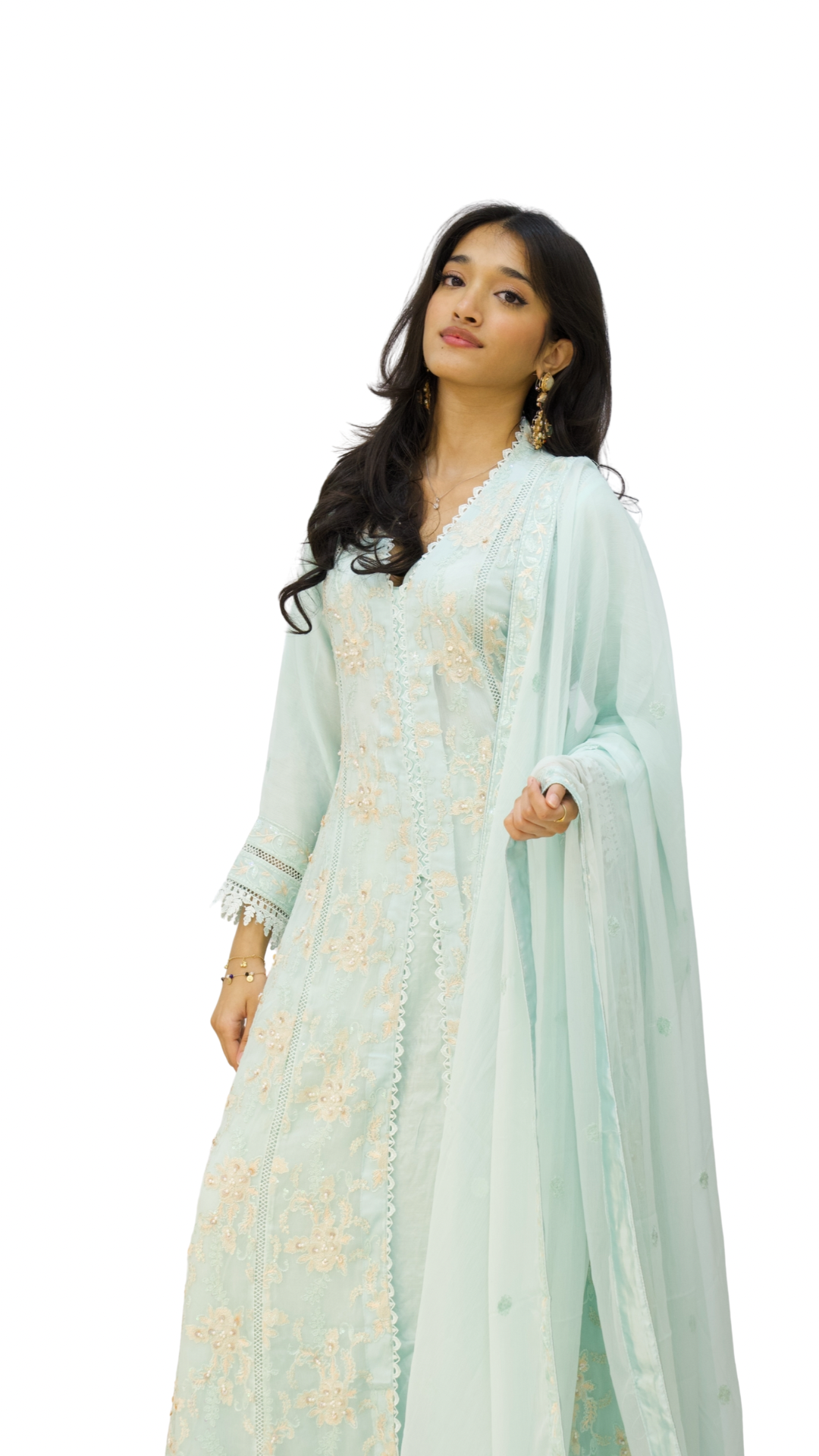 Agha Noor Gown