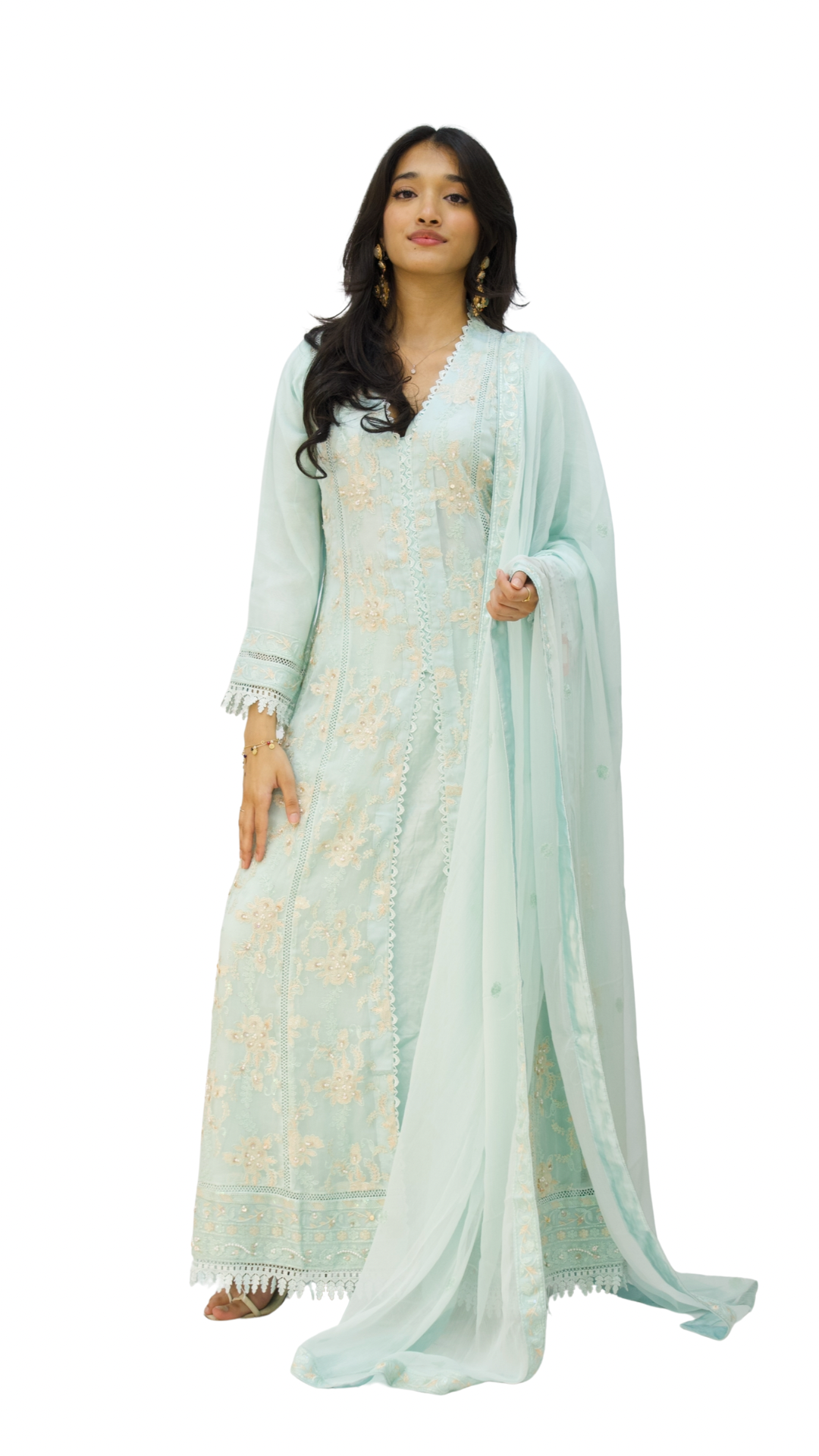 Agha Noor Gown