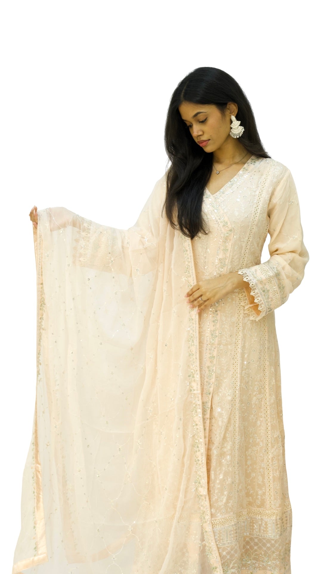 Agha Noor Gown
