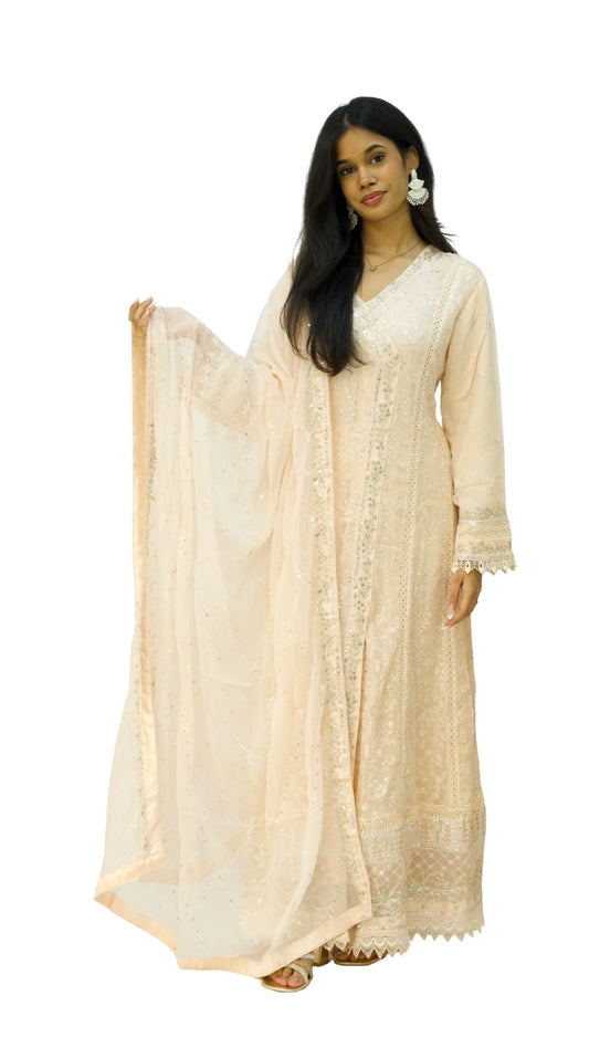 Agha Noor Gown